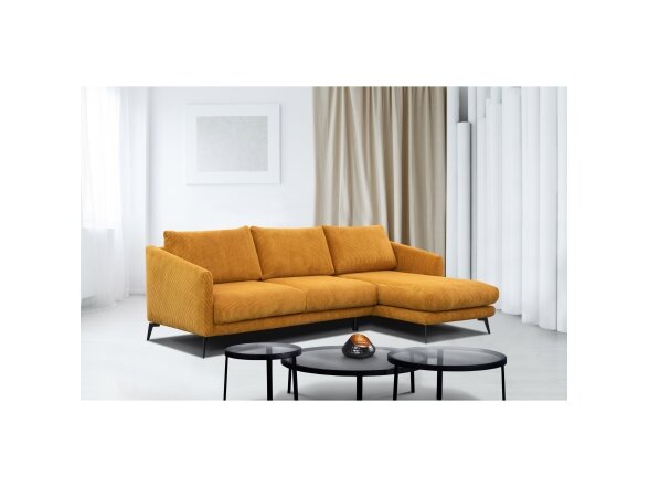 Modulinis kampas JO98391