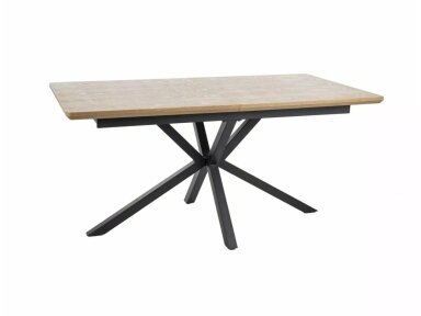 Stalas SLO14867