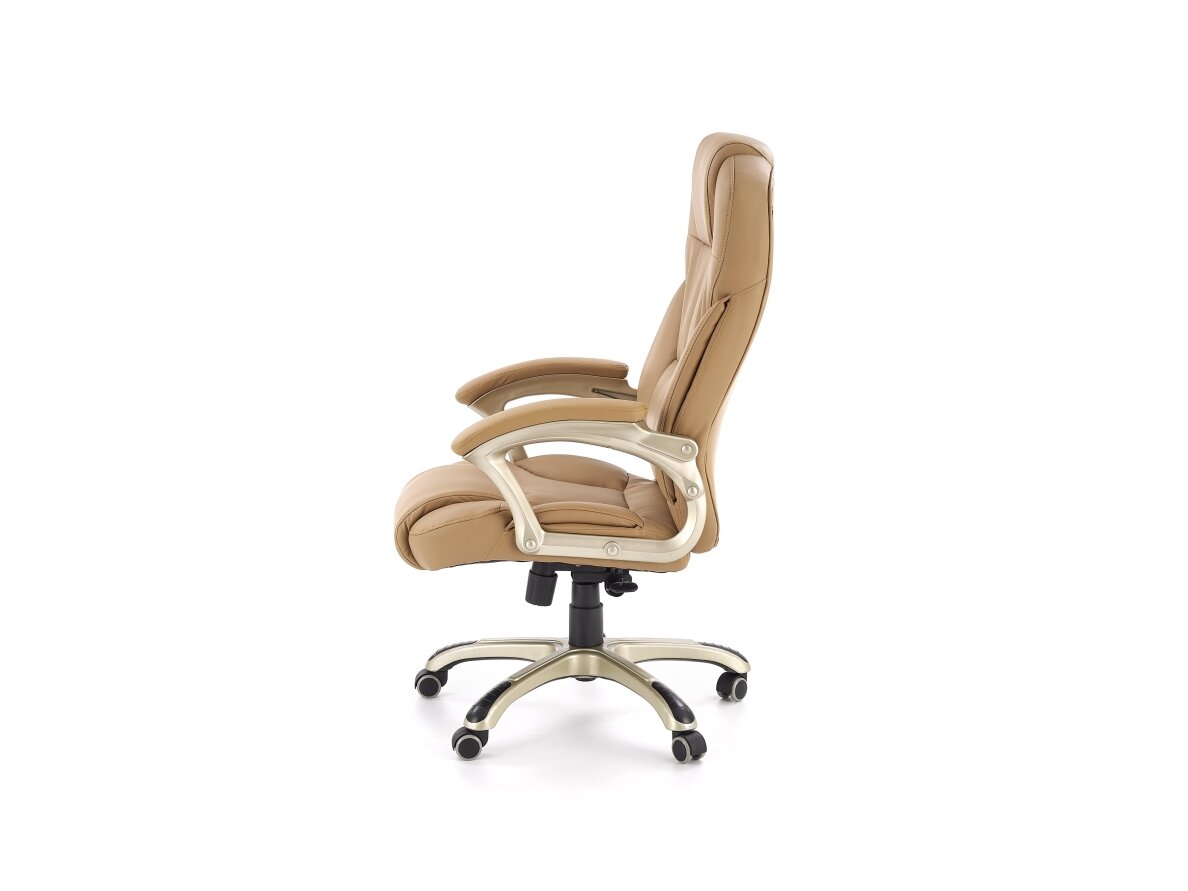Darbo kėdė DE39273 1 Darbo kėdė DE39273 1