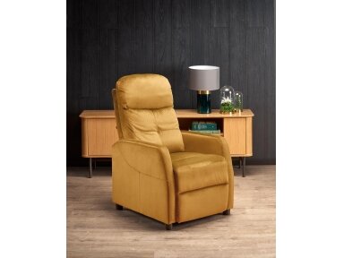 Fotelis FE89909